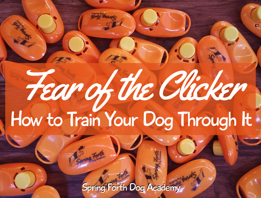 Fear of the Clicker: How to Train Your Dog Through It | Spring Forth Dog Academy in Providence, RI
