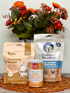Products we recommend for dogs with sensitive stomachs: Fera Immune probiotic supplement, Under the Weather freeze-dried bland diet, The Honest Kitchen Perfect Form gastrointestinal supplement.