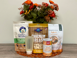 Product recommendations for dogs with sensitive stomachs: Under the Weather freeze-dried bland food, freeze-dried single ingredient dog treats, a squeeze tube, and The Honest Kitchen Perfect Form supplement.