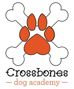 Crossbones Dog Academy in Providence, RI