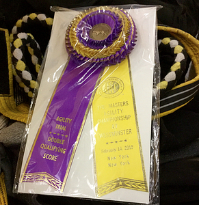 Double Qualifying Score Rosette from Westminster Masters Agility Championship