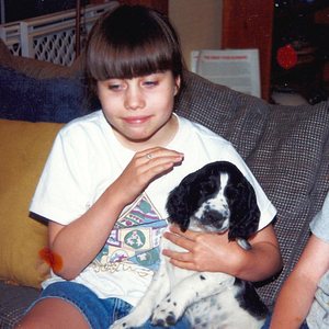 Tessie the English Springer Spaniel | Spring Forth Dog Academy in Providence, RI