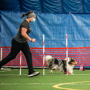 A woman runs alongside a Shetland Sheepdog weaving poles at a dog agility trial. | Agility Competition Prep Class at Crossbones Dog Academy in Providence, RI