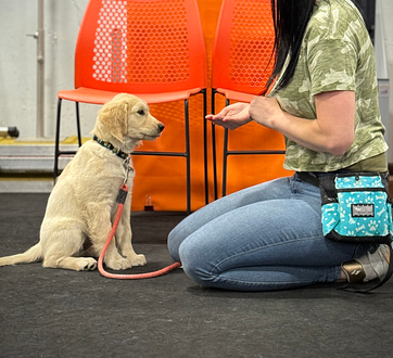 A woman participates in a puppy training class at Crossbones Dog Academy in Providence, RI.