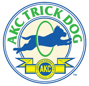 AKC Trick Dog Testing and Titles | Providence, RI