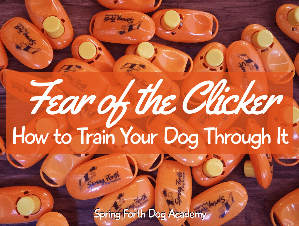 How To Train Your Dog With A Clicker