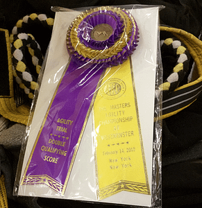 Double Qualifying Score Rosette from Westminster Masters Agility Championship