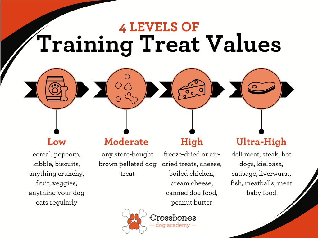 4 Levels of Dog Training Treat Values Infographic | Crossbones Dog Academy in Providence, RI