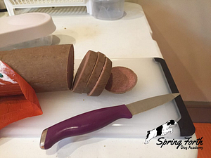 2_sliced