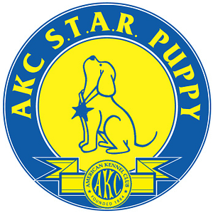AKC STAR Puppy Testing in Providence, RI | Spring Forth Dog Academy