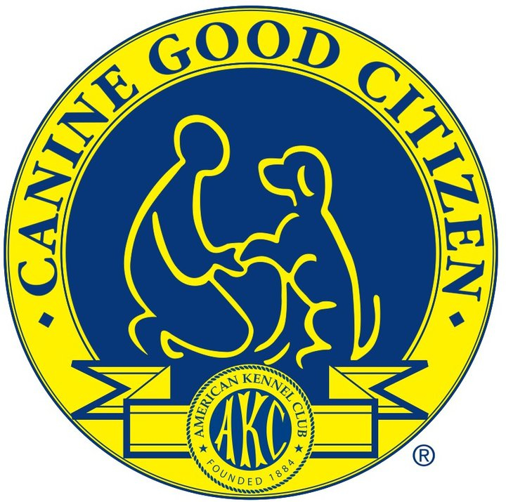 An Overview of the AKC Canine Good Citizen (CGC) Test - Crossbones Dog  Academy