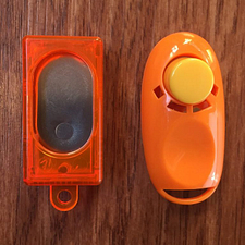 Fear of the Clicker: How to Overcome It | Spring Forth Dog Academy in Providence, RI