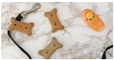 Dog treats and clicker for dog training