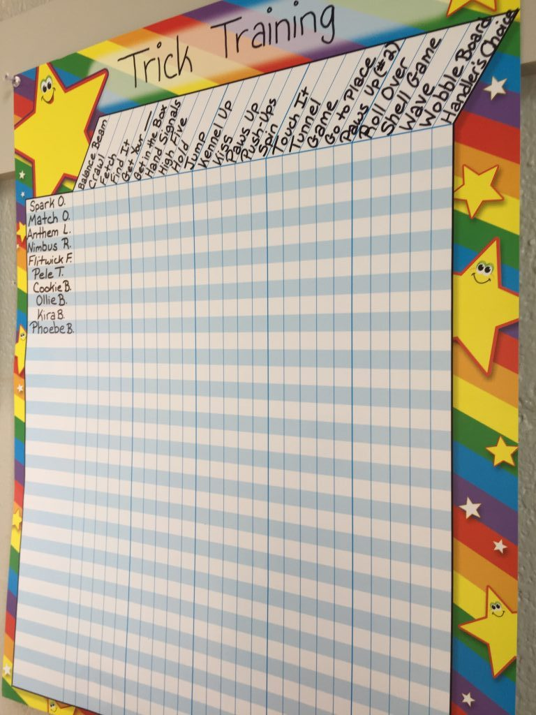 Trick Training Challenge Progress Board | Spring Forth Dog Academy, Providence RI