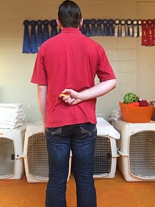 Fear of the Clicker: How to Overcome It | Spring Forth Dog Academy in Providence, RI