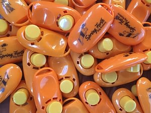 Fear of the Clicker: How to Overcome It | Spring Forth Dog Academy in Providence, RI